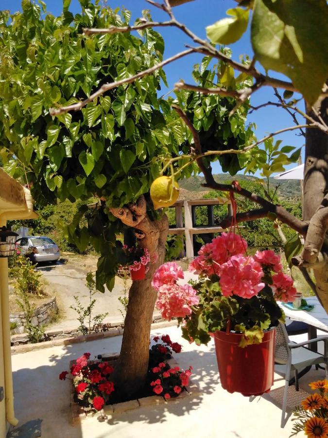 Ferienwohnung Casa Bellissima Chania  Exterior foto
